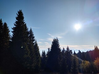 Autumn colorful leaves on the ground and on the trees. Slovakia	