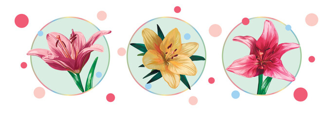 Set of cards with lily flowers isolated in a green circle on a white background with colorful dots. Green leaves, buds, yellow and pink flowers. Vector illustration. Vintage.