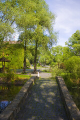 Park near Radomysl Castle in Ukraine	
