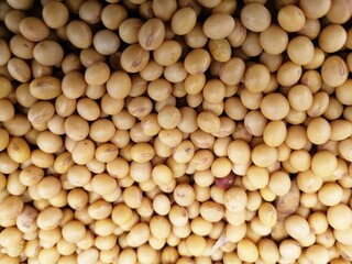 Grão de Soja