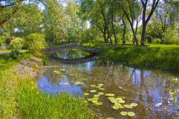 Fototapeta na wymiar Landscape with a river and bridge near Radomysl Castle in Ukraine 