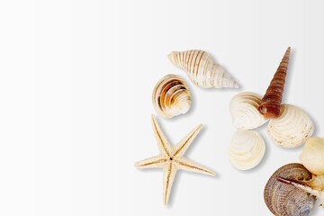 Summer time concept, beautiful starfish and sea shells on colored table