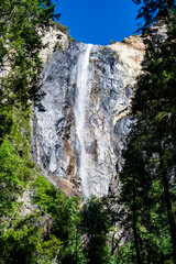 Yosemite National Park