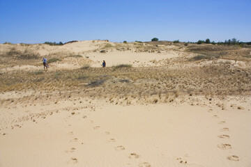 Fototapeta na wymiar Oleshkiv Sands National Nature Park in the Kherson Region in Ukraine 