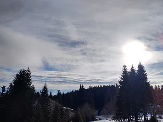 Fototapete Wald im Nebel Natur unter dem Schnee im Winter. Slowakei