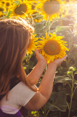 a young girl holds a sunflower in her hands looks at it, at sunset, photo from the back, growing cereals, agriculture, farming, summer, autumn, harvesting