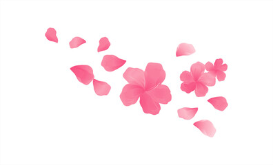Sakura Pink flowers and flying petals isolated on White background. Apple-tree flowers. Cherry blossom. Vector