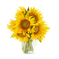 bouquet of sunflowers in a vase on a white isolated background