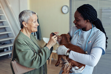 Portrait of young female veterinarian consulting smiling senior woman with pet dog in vet clinic