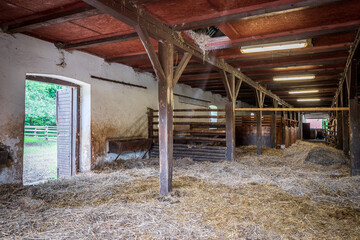 Interior of stable in horse breeding in Florianka, Zwierzyniec, Roztocze, Poland. Clean hay lying...