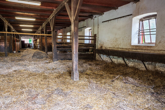 Interior of stable in horse breeding in Florianka, Zwierzyniec, Roztocze, Poland. Clean hay lying down on the floor. Drinker and stalls for horses in the background