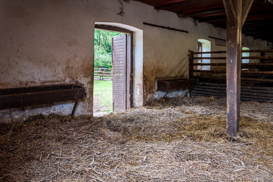 Interior of stable in horse breeding in Florianka, Zwierzyniec, Roztocze, Poland. Clean hay lying down on the floor. Drinker and stalls for horses ..A run for horses in the background