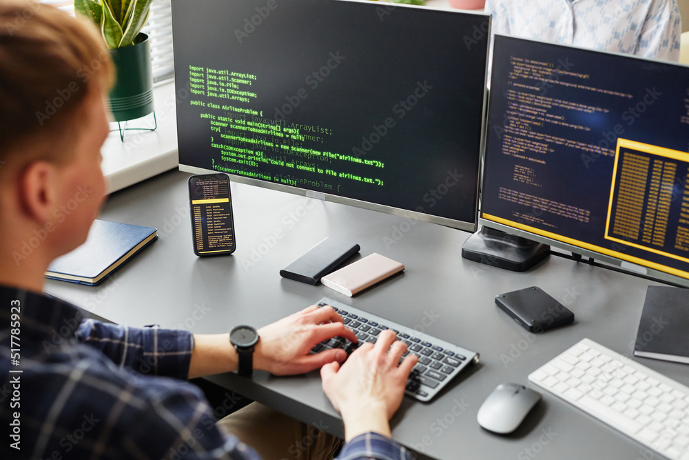 Wall mural rear view of young software developer writing codes of new software sitting at his workplace with co
