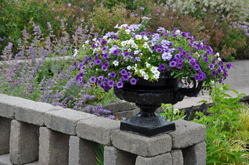 Summer petunia planter on garden terrace