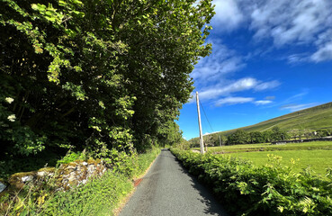 Yorkshire Dales country road, with dry stone walls, wild plants and trees in, Littondale, Skipton, UK