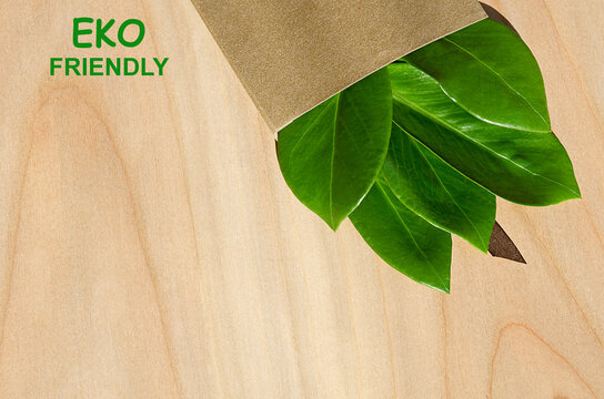 Eco friendly packaging, paper recycling, zero waste, natural products concept.
