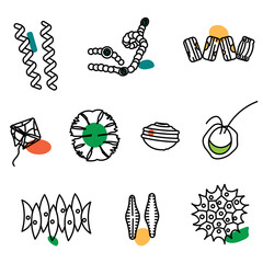 Algae and Cyanobacteria are microscopic living things that found in various habitats including waterbodies or damp soil.