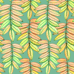 Seamless pattern rowan leaves. Autumn background. Hand drawn watercolor colored pencils illustration.