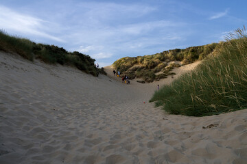 sand dunes on the beach