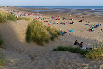 beach and dunes