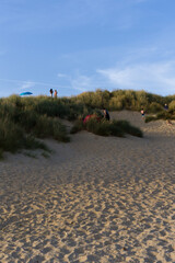 landscape in the desert