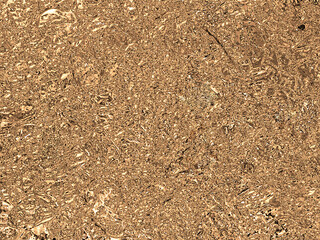 Golden textured wallpaper. Golden divorces. Golden background for design
