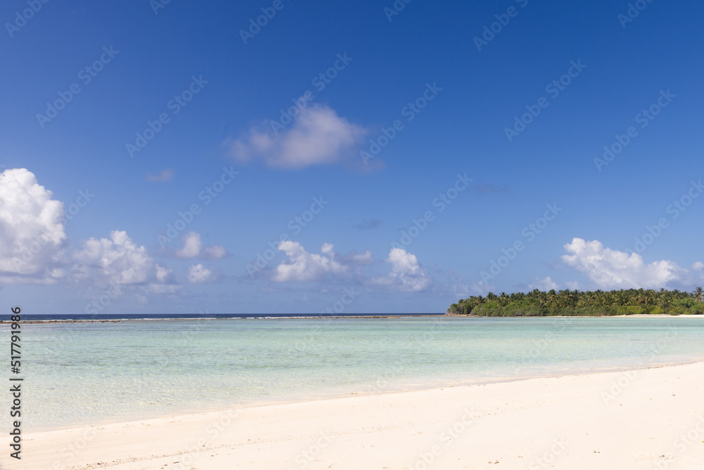 Poster white sand and coco palms travel tourism wide panorama background concept