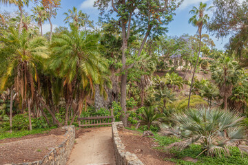 Balboa Park tropical forest San Diego California.