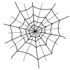 Obraz premium Halloween cobweb. Spiderweb. Close up. Vector illustration. Linear hand drawing in doodle style for holiday design, decor and decoration