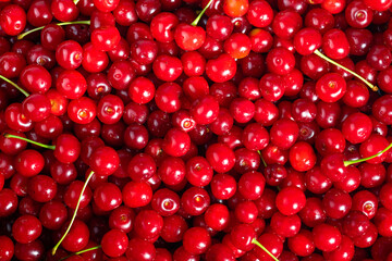 Fresh sour cherries. Top view