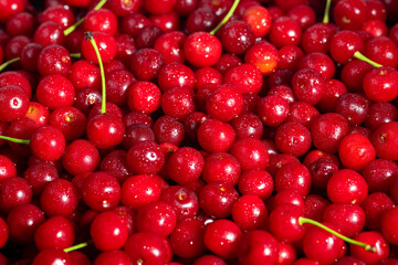 Fresh sour cherries. Top view