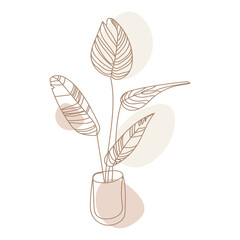 Houseplant,outline drawing plant in pot vector illustration.Indoor exotic flowers,plant for home and interior Laner drawing in Minimalist art style neutral pastel colors for decoration design element