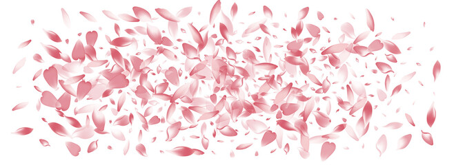 Color Apple Petal Vector Panoramic Background.