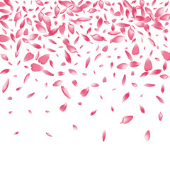 Pastel Sakura Petal Vector White Background.