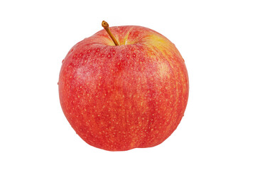 One red ripe apple on a white background. Apple isolate.