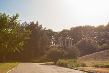 Cozy gazebo on a hill near the woods on sunset, copy space