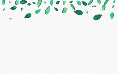 Fototapeta na wymiar Green Leaves Flying Vector Transparent Background
