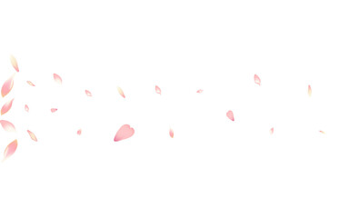 Color Lotus Petal Vector White Background. Pastel