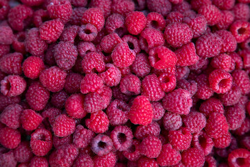 Fresh raspberry background