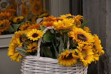 Close-up of fresh yellow sunflower bouquet in the white wicker basket placed on white windowsill with sunflower bouquet mirror image in background
