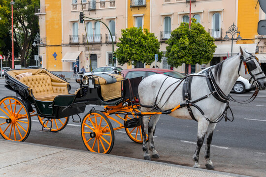 Touristic horse carriages around Plaza de Toros, Seville, Spain