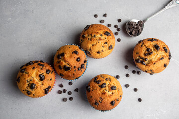 Chocolate chip muffins in plate on light gray background