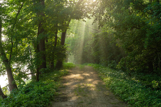 I & M Canal tow path.