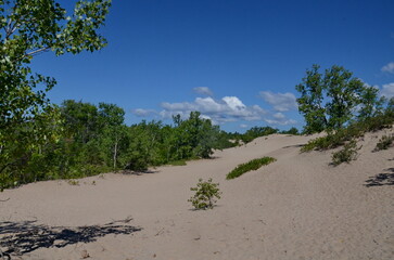 Dunes Beach sand dunes at Sandbanks Provincial Park in Ontario, Canada.   Sandbanks is the largest baymouth barrier dune formation in the world. It is located on Lake Ontario.