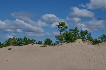 Dunes Beach sand dunes at Sandbanks Provincial Park in Ontario, Canada.   Sandbanks is the largest baymouth barrier dune formation in the world. It is located on Lake Ontario.