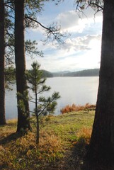 Trees framing a lake in the Black HIlls 