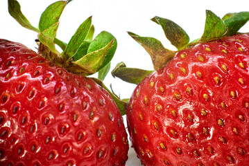 fresas
