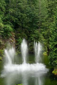 A water feature sprays water in a hidden lake in a Botanical garden near Victoria, British Columbia, Canada
