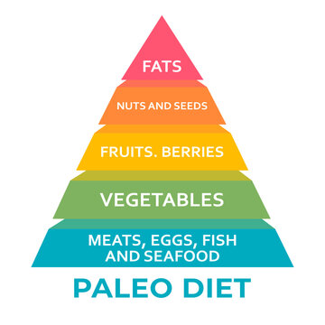Paleo Diet food pyramid chart. Healthy eating, healthcare, dieting concept, eating like our ancestors aligns with our genetics and promotes good health