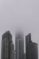 Fototapeta premium skyscrapers and heavy fog Buenos Aires, Argentina
